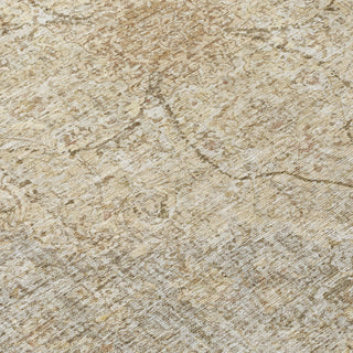 Piper Looms Chantille Global ACN2136 Beige Machine Washable Area Rug Swatch Image