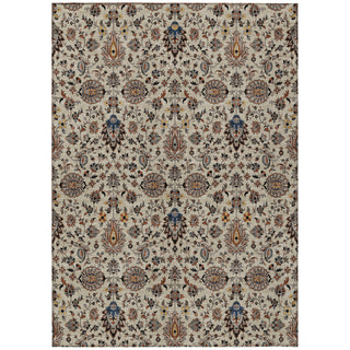 Piper Looms Chantille Global ACN2192 Beige Machine Washable Area Rug main image