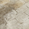 Piper Looms Chantille Geometric ACN2215 Beige Machine Washable Area Rug Swatch Image