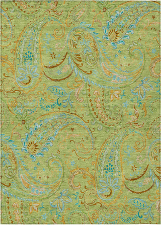 Piper Looms Chantille Paisley ACN533 Aloe Area Rug