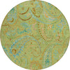 Piper Looms Chantille Paisley ACN533 Aloe Area Rug