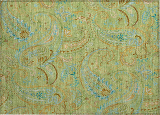 Piper Looms Chantille Paisley ACN533 Aloe Area Rug