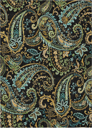 Piper Looms Chantille Paisley ACN533 Black Area Rug