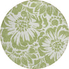 Piper Looms Chantille Floral ACN551 Aloe Area Rug