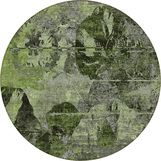 Piper Looms Chantille Organic ACN555 Green Area Rug