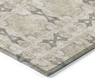 Piper Looms Chantille Panel ACN564 Beige Area Rug