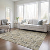 Piper Looms Chantille Panel ACN564 Beige Area Rug