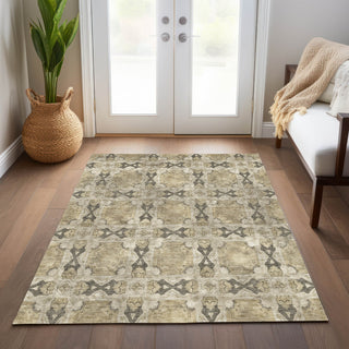 Piper Looms Chantille Panel ACN564 Beige Area Rug