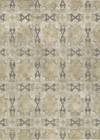 Piper Looms Chantille Panel ACN564 Beige Area Rug