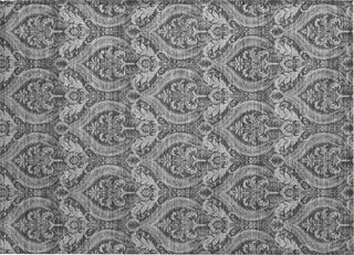 Piper Looms Chantille Panel ACN572 Gray Area Rug