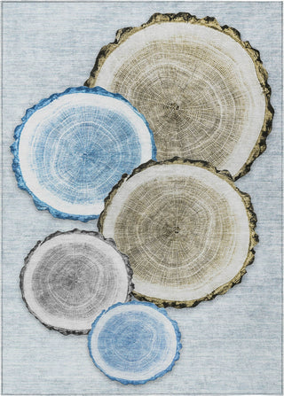 Piper Looms Chantille Organic ACN575 Blue Area Rug