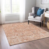 Piper Looms Chantille Panel ACN611 Salmon Area Rug Lifestyle Image Feature