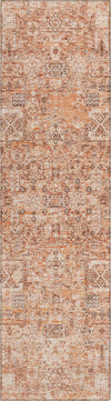 Piper Looms Chantille Panel ACN611 Salmon Area Rug