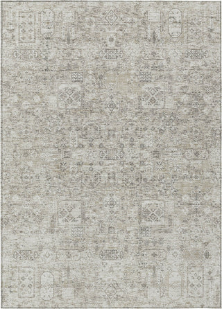 Piper Looms Chantille Panel ACN611 Taupe Area Rug