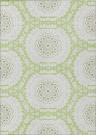 Piper Looms Chantille Circles ACN619 Aloe Area Rug