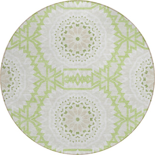 Piper Looms Chantille Circles ACN619 Aloe Area Rug