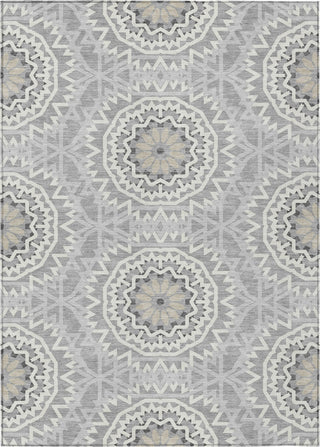 Piper Looms Chantille Circles ACN619 Gray Area Rug