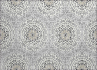 Piper Looms Chantille Circles ACN619 Gray Area Rug