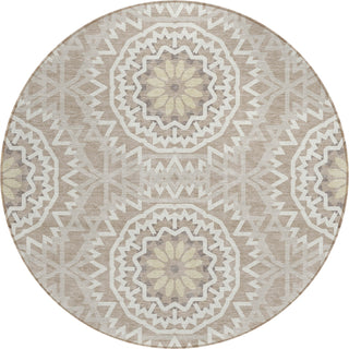 Piper Looms Chantille Circles ACN619 Taupe Area Rug