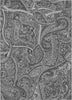 Piper Looms Chantille Paisley ACN623 Gray Area Rug