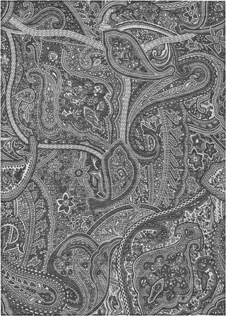 Piper Looms Chantille Paisley ACN623 Gray Area Rug