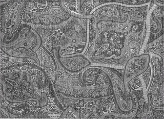 Piper Looms Chantille Paisley ACN623 Gray Area Rug