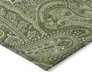 Piper Looms Chantille Paisley ACN623 Green Area Rug