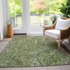 Piper Looms Chantille Paisley ACN623 Green Area Rug