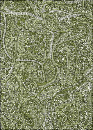 Piper Looms Chantille Paisley ACN623 Green Area Rug