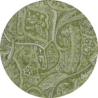 Piper Looms Chantille Paisley ACN623 Green Area Rug