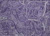 Piper Looms Chantille Paisley ACN623 Purple Area Rug