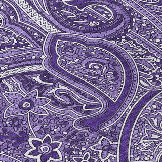 Piper Looms Chantille Paisley ACN623 Purple Area Rug