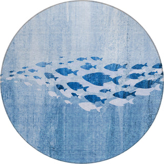 Piper Looms Chantille Nautical ACN627 Blue Area Rug