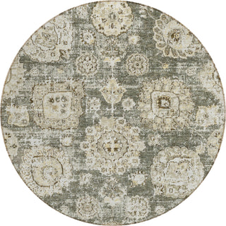 Piper Looms Chantille Floral ACN634 Taupe Area Rug