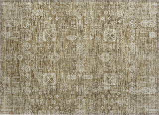 Piper Looms Chantille Panel ACN637 Brown Area Rug