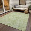 Piper Looms Chantille Paisley ACN654 Aloe Area Rug