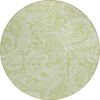 Piper Looms Chantille Paisley ACN654 Aloe Area Rug