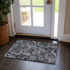 Piper Looms Chantille Paisley ACN654 Black Area Rug