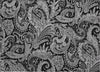 Piper Looms Chantille Paisley ACN654 Black Area Rug