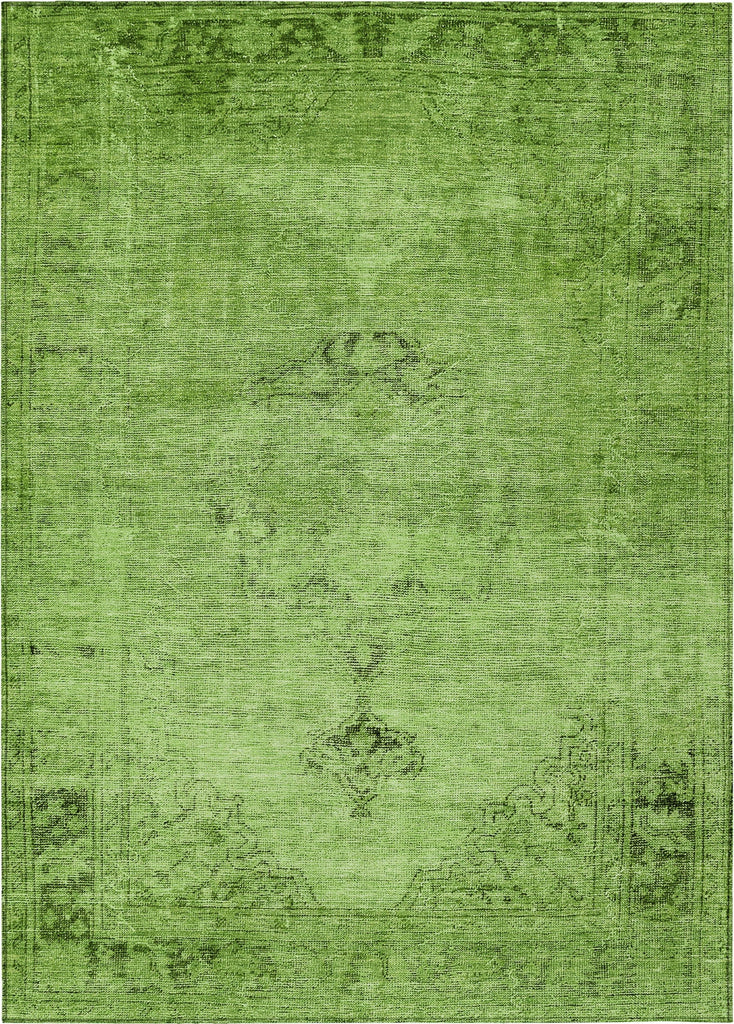 Piper Looms Chantille Oriental ACN658 Aloe Area Rug