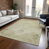 Piper Looms Chantille Oriental ACN658 Beige Area Rug Lifestyle Image Feature