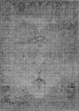 Piper Looms Chantille Oriental ACN658 Gray Area Rug