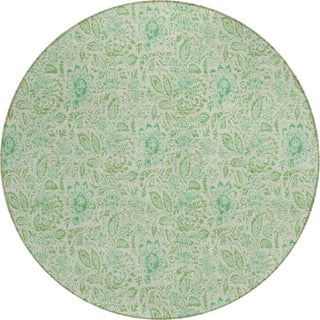 Piper Looms Chantille Floral ACN660 Sage Area Rug