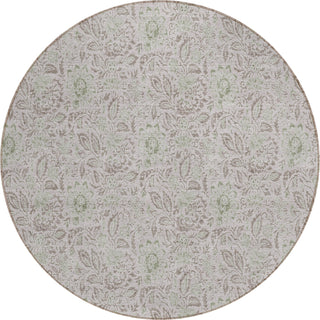 Piper Looms Chantille Floral ACN660 Taupe Area Rug