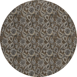 Piper Looms Chantille Floral ACN661 Chocolate Area Rug