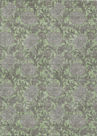 Piper Looms Chantille Floral ACN677 Aloe Area Rug