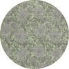 Piper Looms Chantille Floral ACN677 Aloe Area Rug