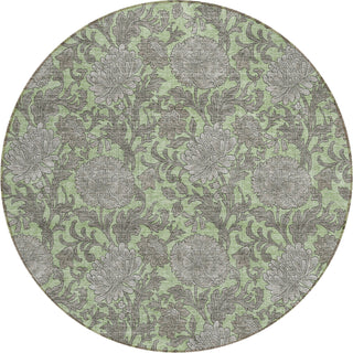 Piper Looms Chantille Floral ACN677 Aloe Area Rug