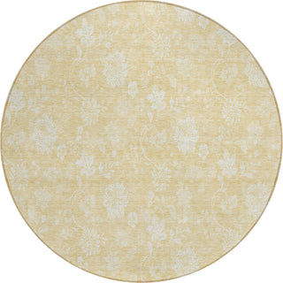 Piper Looms Chantille Floral ACN681 Honey Area Rug