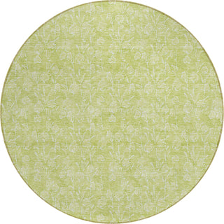 Piper Looms Chantille Floral ACN691 Aloe Area Rug